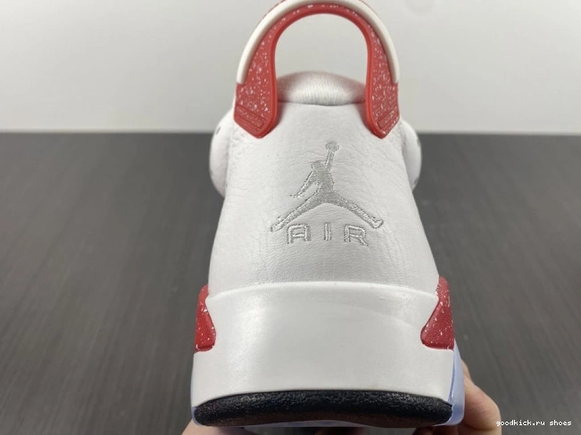 Rep Retro 6 Hare Jordan CT8529-162 0629